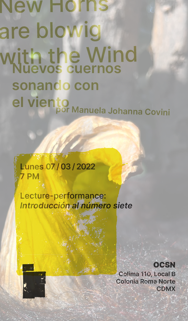 Manuela Johanna Covini_ OCSN_Gallery Mexico City