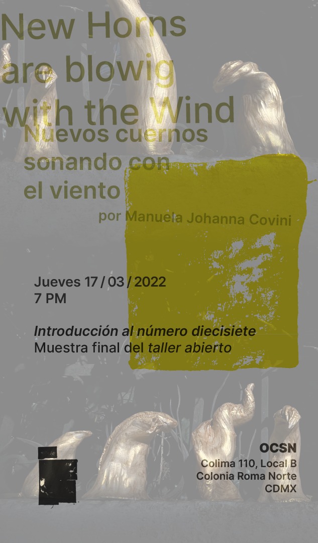 Manuela Johanna Covini _Otra Cosa sin Nombre Gallery Mexico City