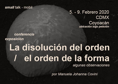Manuela Johanna Covini small talks mobil lecture